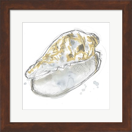 Framed Citron Shell Sketch IV Print