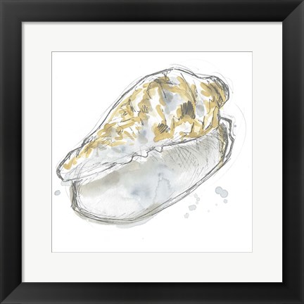 Framed Citron Shell Sketch IV Print