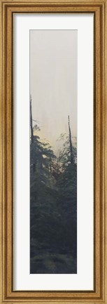 Framed Pacific Northwest Panel VI Print