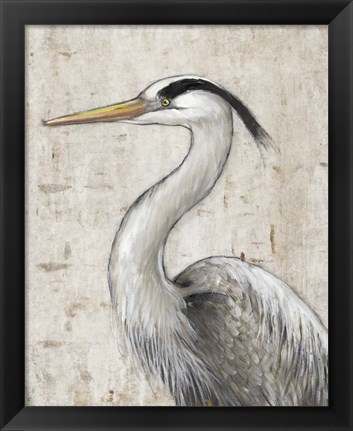 Framed Grey Heron II Print