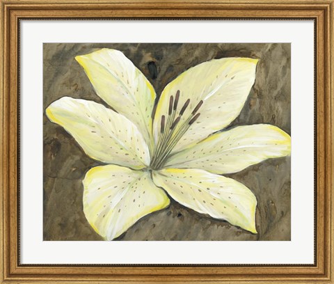 Framed Neutral Lily II Print