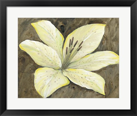 Framed Neutral Lily II Print