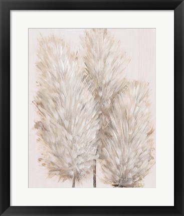 Framed Pampas Grass IV Print