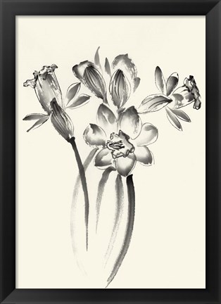 Framed Ink Wash Floral I - Daffodils Print