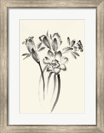 Framed Ink Wash Floral I - Daffodils Print