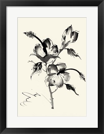 Framed Ink Wash Floral III - Hibiscus Print