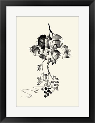 Framed Ink Wash Floral V - Grapes Print