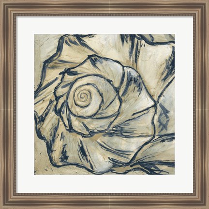 Framed Navy Seashell Spiral I Print