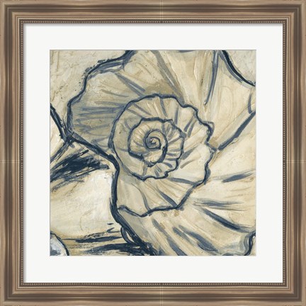 Framed Navy Seashell Spiral II Print