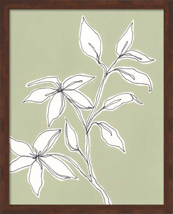 Framed Botanic Drawing I Print