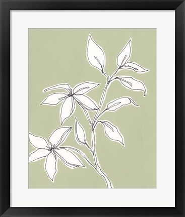 Framed Botanic Drawing I Print