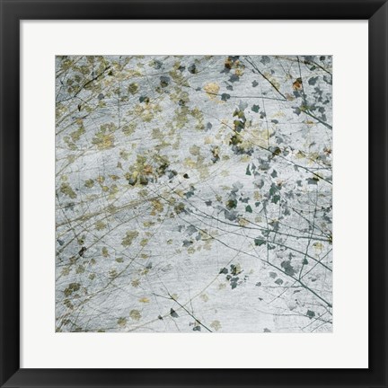 Framed Seasonal Transition II Print