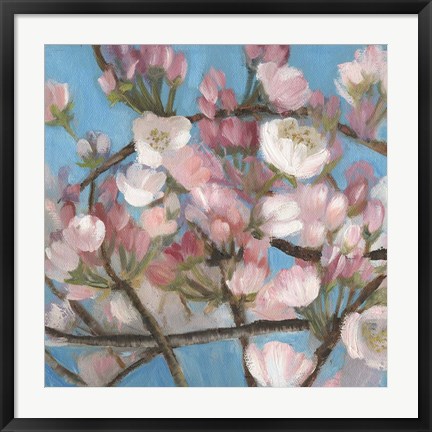 Framed Cherry Blossoms I Print