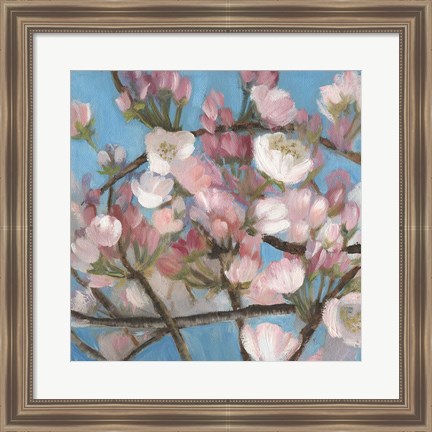 Framed Cherry Blossoms I Print