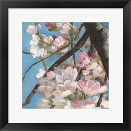 Framed Cherry Blossoms II Print