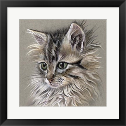 Framed Kitten Portrait I Print