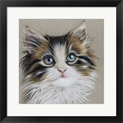 Framed Kitten Portrait II Print