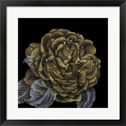 Framed River Roses II Print