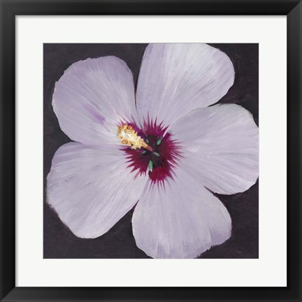 Framed Hibiscus Portrait I Print