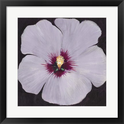 Framed Hibiscus Portrait II Print