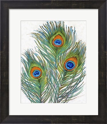 Framed Vivid Peacock Feathers II Print