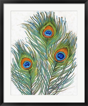 Framed Vivid Peacock Feathers II Print