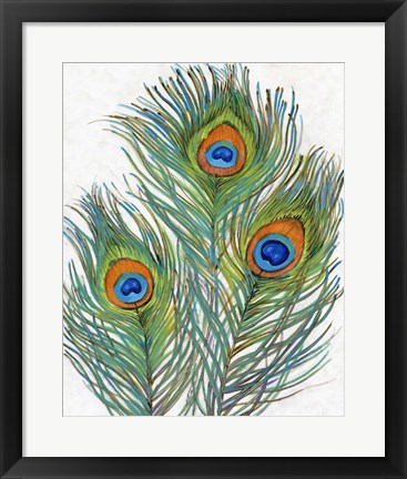 Framed Vivid Peacock Feathers II Print