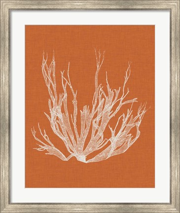 Framed Seaweed Pop I Print