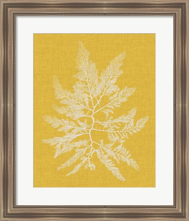 Framed Seaweed Pop II Print