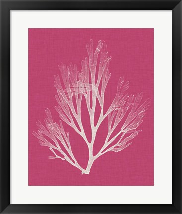 Framed Seaweed Pop III Print