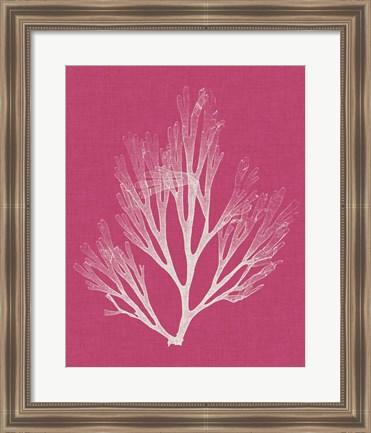 Framed Seaweed Pop III Print
