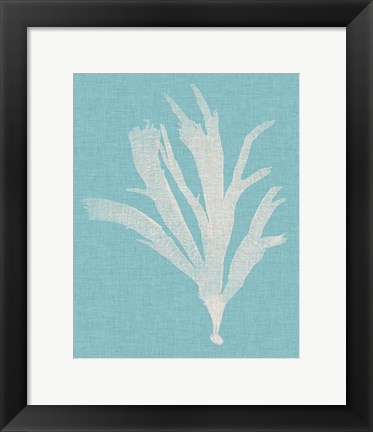 Framed Seaweed Pop IV Print