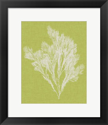 Framed Seaweed Pop V Print