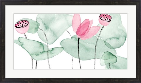 Framed Lotus in Nature II Print