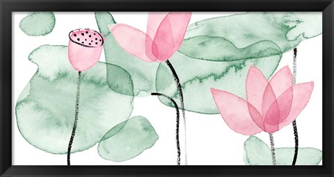 Framed Lotus in Nature III Print