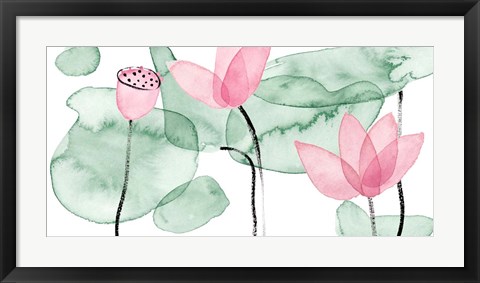 Framed Lotus in Nature III Print