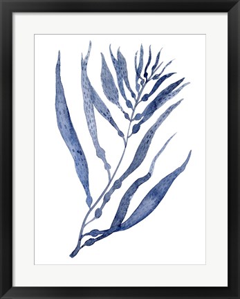 Framed Seaweed Under Water III Print