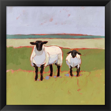 Framed Suffolk Sheep I Print