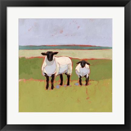 Framed Suffolk Sheep I Print