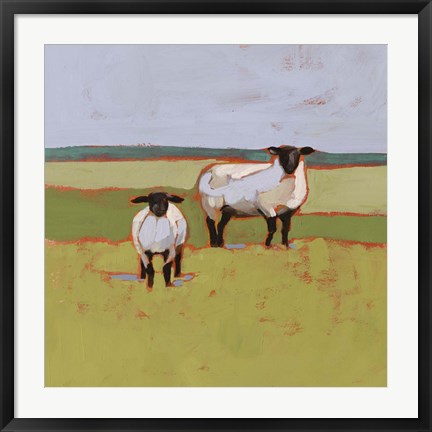 Framed Suffolk Sheep II Print