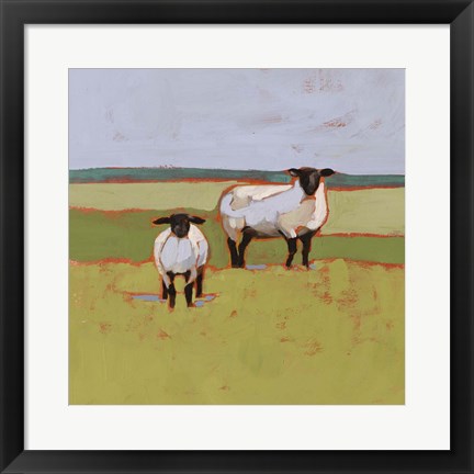 Framed Suffolk Sheep II Print