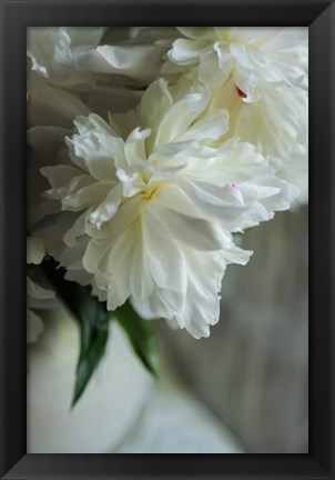 Framed White Peonies In Cream Pitcher 1 Print