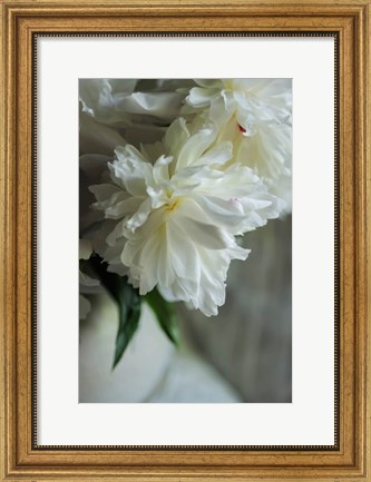 Framed White Peonies In Cream Pitcher 1 Print