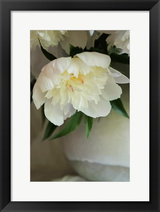 Framed White Peonies In Cream Pitcher 3 Print