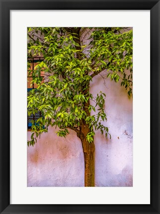 Framed Tree And Wall Print