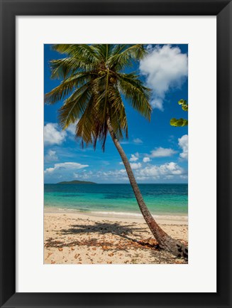 Framed Cramer Park Beach, St Croix, US Virgin Islands Print