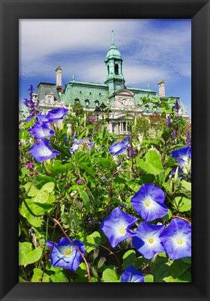 Framed USA, Montreal View Of City Hall Building Behind Flowers Print