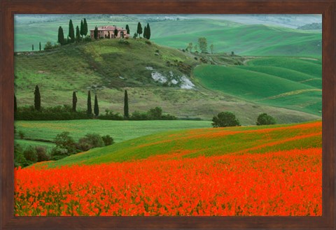 Framed Europe, Italy, Tuscany The Belvedere Villa Landmark And Farmland Print