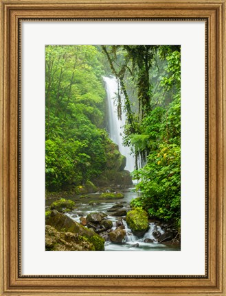 Framed Costa Rica, La Paz Waterfall Garden Rainforest Waterfall And Stream Print