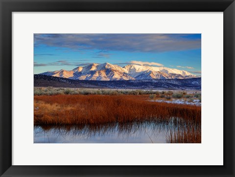 Framed California White Mountains And Reeds In Pond Print